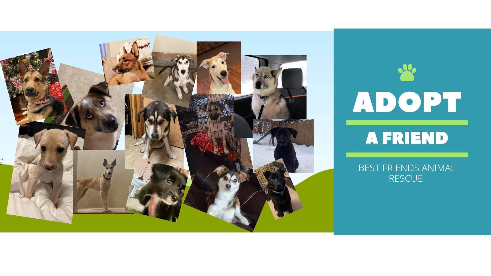 site de rencontre adopt